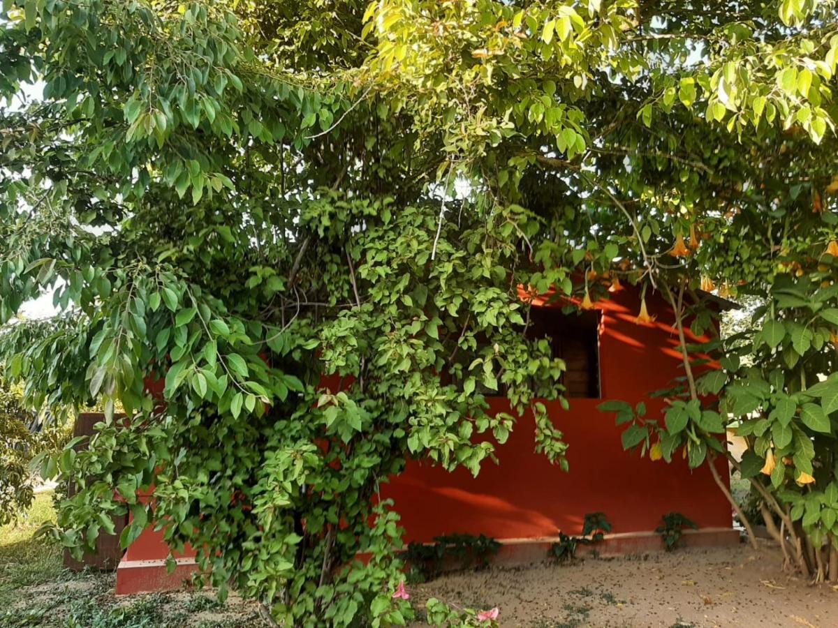 سورسو Casa Di Campagna Dal Pozzo المظهر الخارجي الصورة