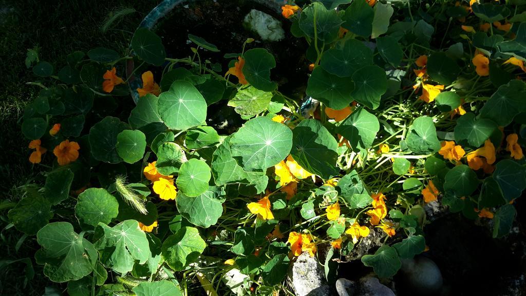 سورسو Casa Di Campagna Dal Pozzo الغرفة الصورة