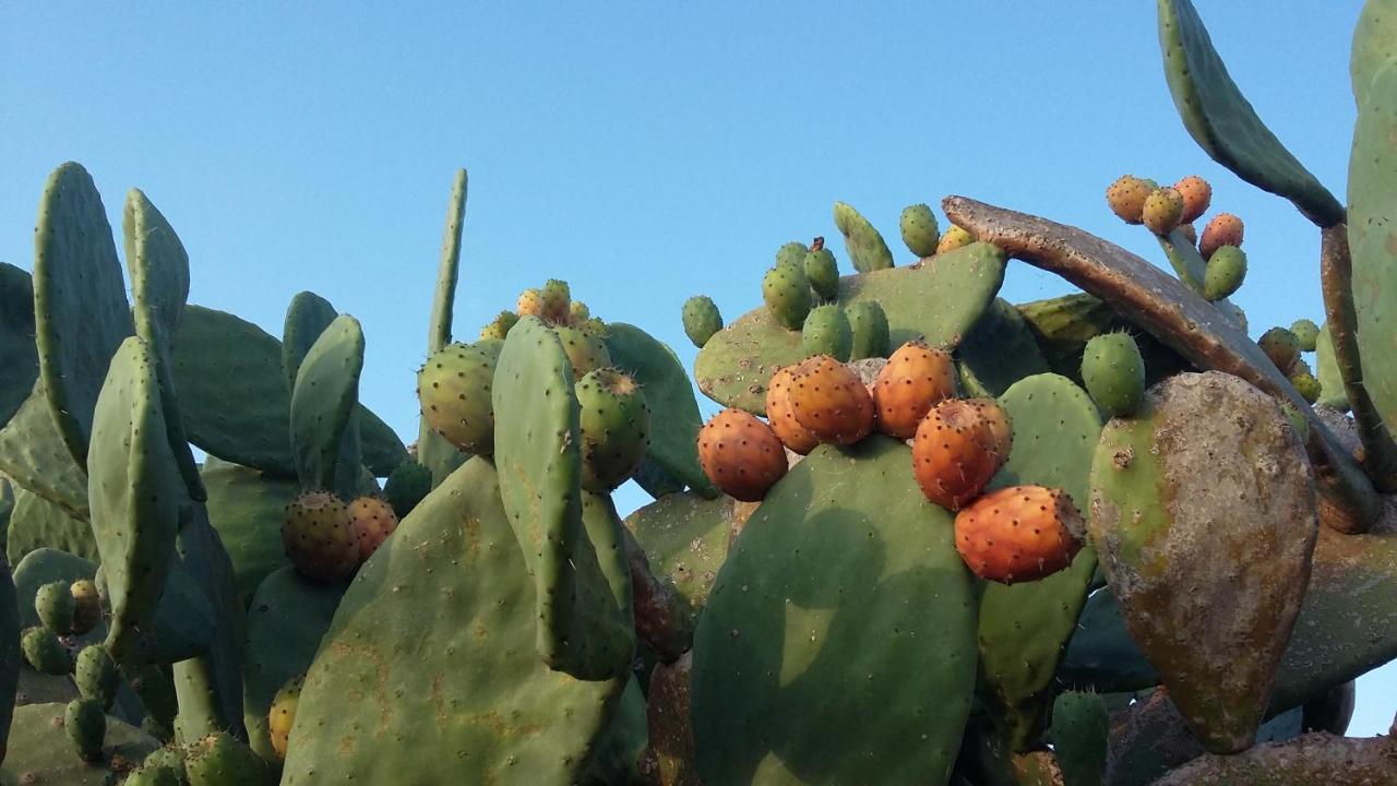 سورسو Casa Di Campagna Dal Pozzo المظهر الخارجي الصورة
