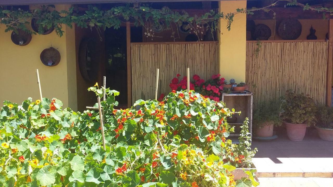سورسو Casa Di Campagna Dal Pozzo المظهر الخارجي الصورة